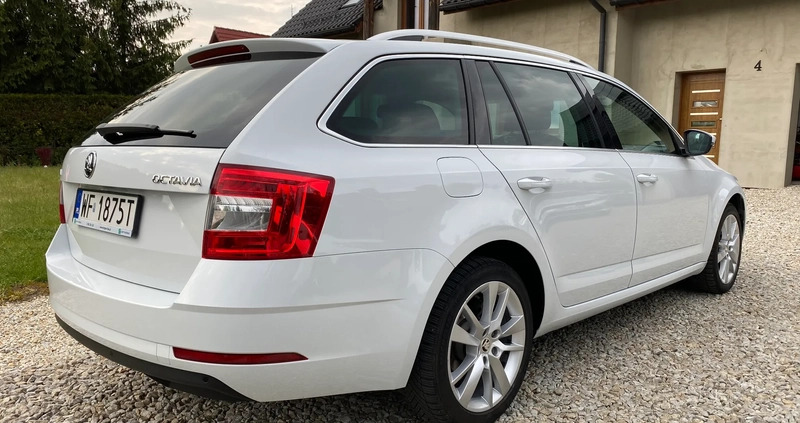 Skoda Octavia cena 65900 przebieg: 159000, rok produkcji 2019 z Sulechów małe 154